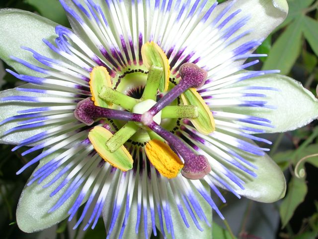 personal growth workshops